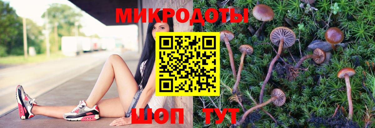 Галлюциногенные грибы MAGIC MUSHROOMS  Галлюциногенные грибы мухоморы  Вход с VPN  Елизово 